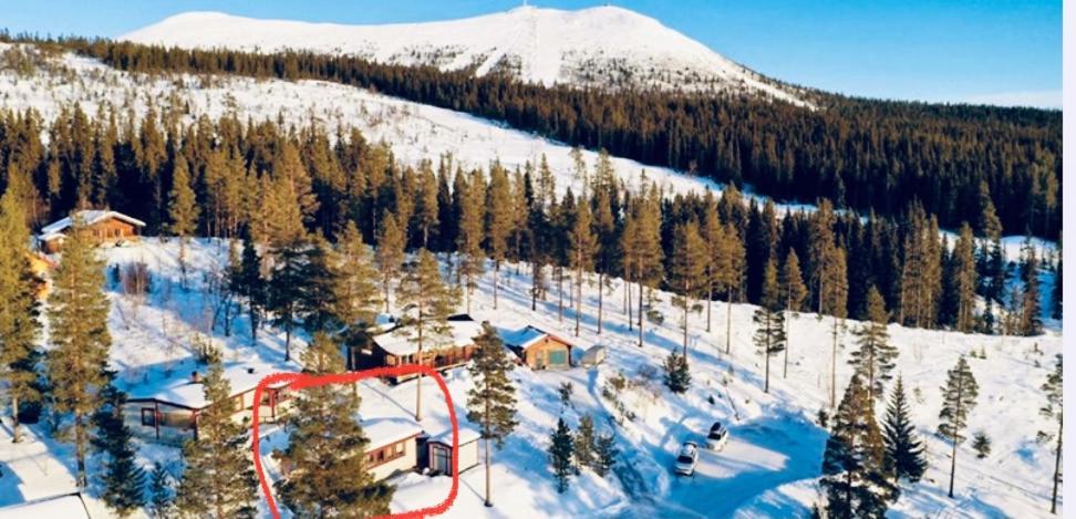 1125 Fjällstugan Lofsdalen Exteriör bild