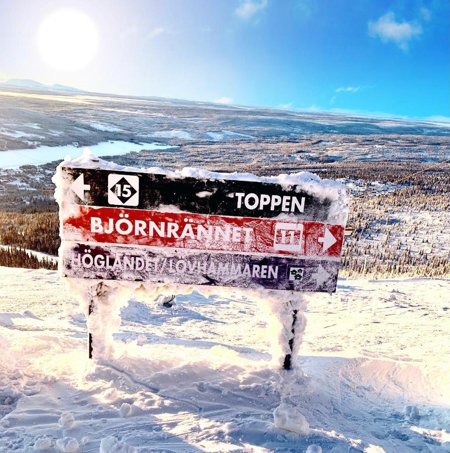 1125 Fjällstugan Lofsdalen Exteriör bild