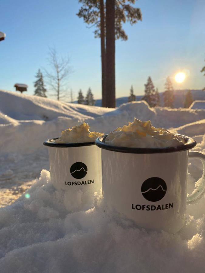 1125 Fjällstugan Lofsdalen Exteriör bild