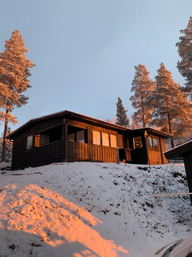 1125 Fjällstugan Lofsdalen Exteriör bild