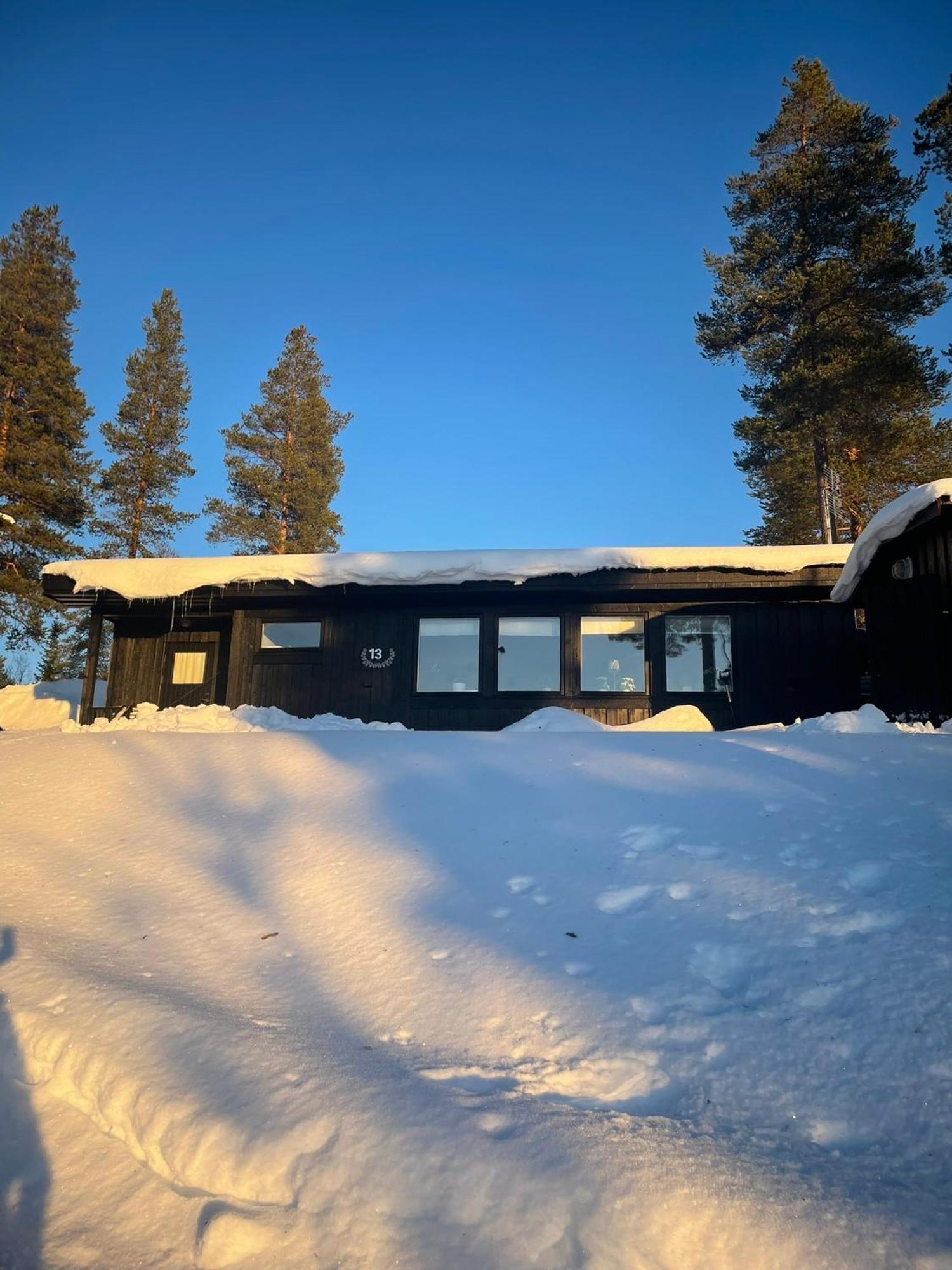 1125 Fjällstugan Lofsdalen Exteriör bild